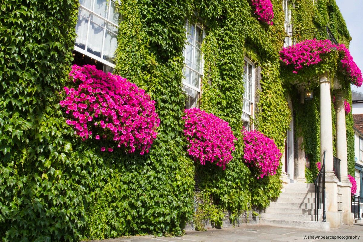 Angel Hotel Bury St. Edmunds Bagian luar foto